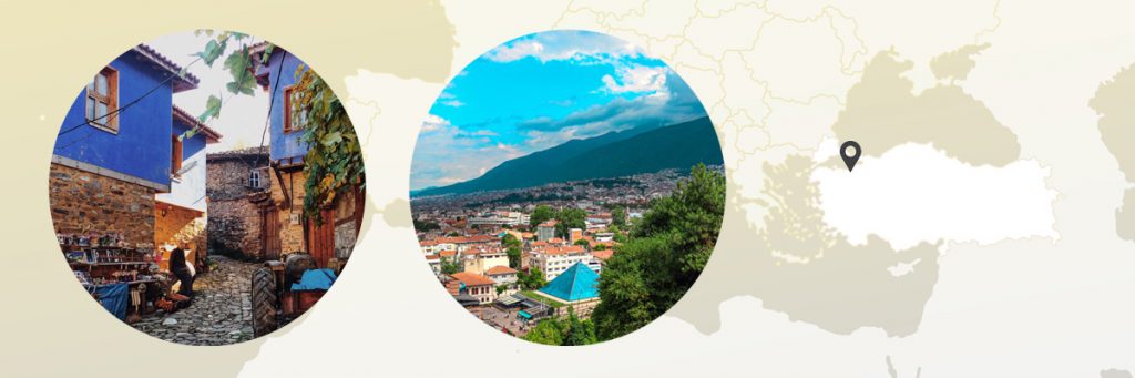 Bursa