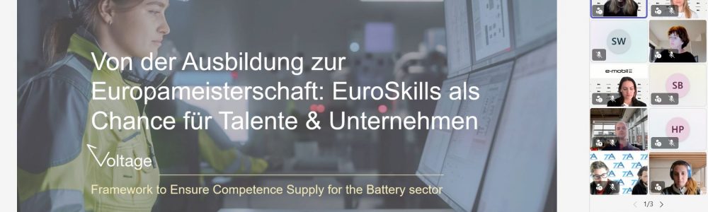 Voltage_EuroSkills_webinar_190326